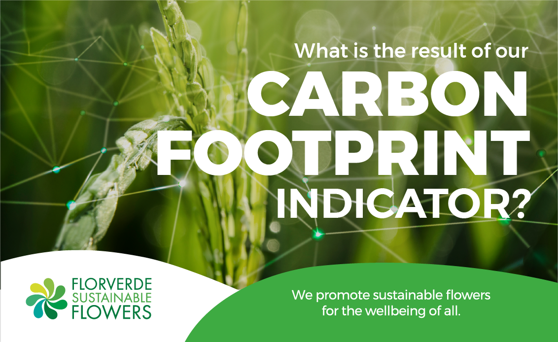 Our carbon footprint