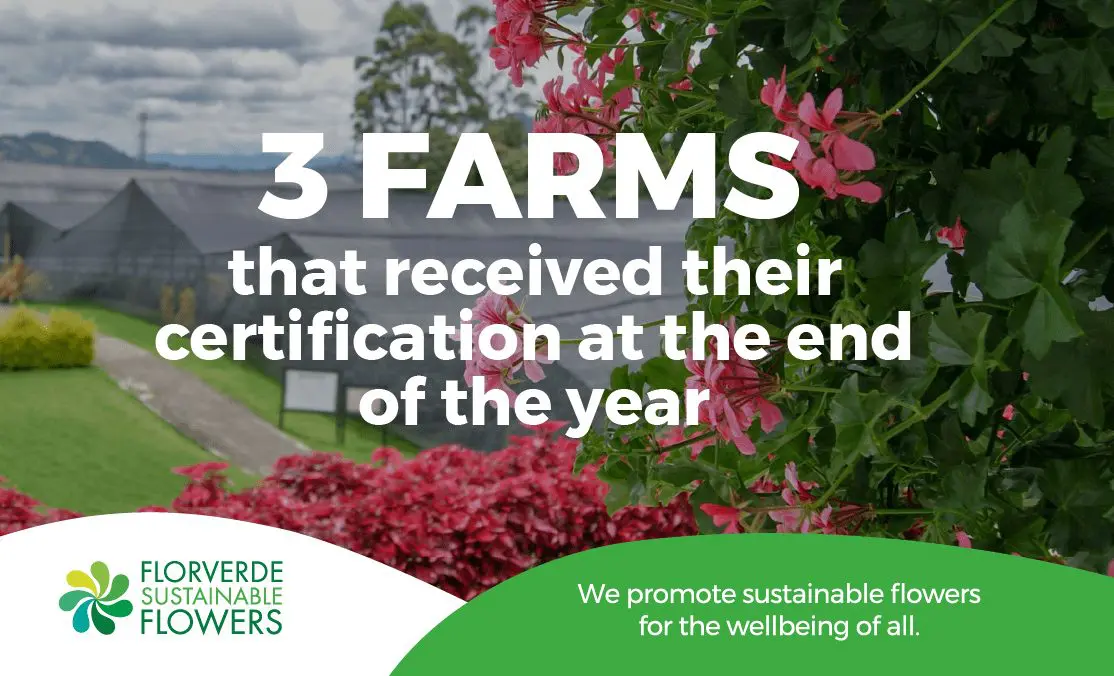 3 farms that received their certification at the end of the year