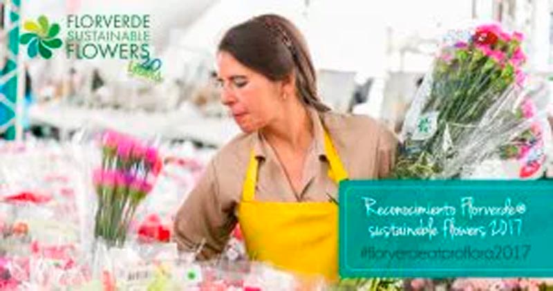 Ganadores de los Premios Florverde Sustainable Flowers 2017