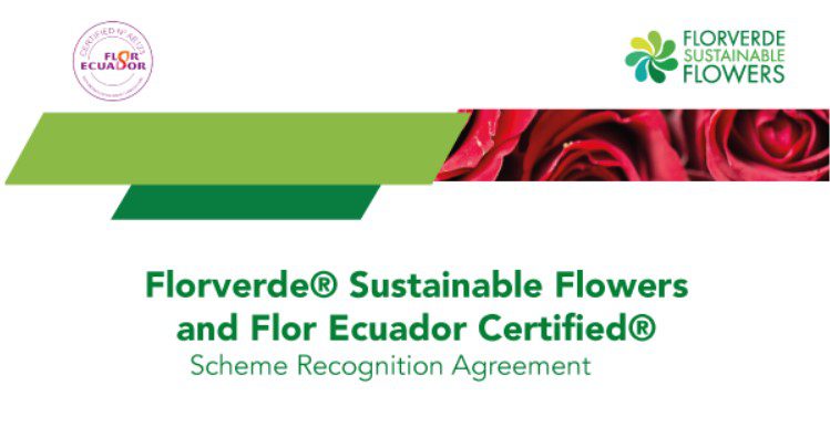 Recognition between Florverde and Flor Ecuador- es